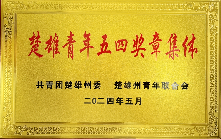 楚雄青年五四奖章集体.jpg